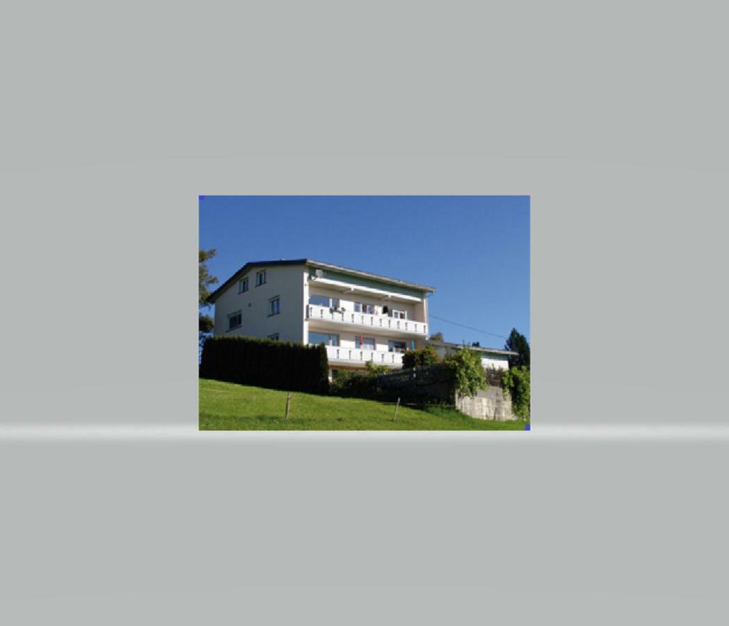 苏尔茨贝格Haus Homann公寓 外观 照片